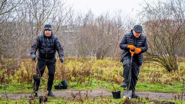 Park Pileckiego na Złotnie w Łodzi pięknieje. 300 nowych krzewów i hit dla dzieci [ZDJĘCIA]