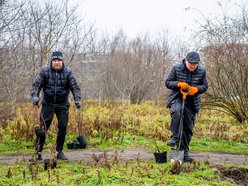 Łódź. Park Pileckiego na Złotnie w Łodzi pięknieje. 300 nowych krzewów i hit dla dzieci