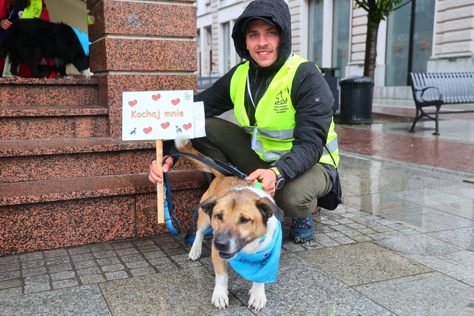 Parada kundelków w Łodzi 2025 przeszła ulicami. Skala słodyczy wysoka jak nigdy!