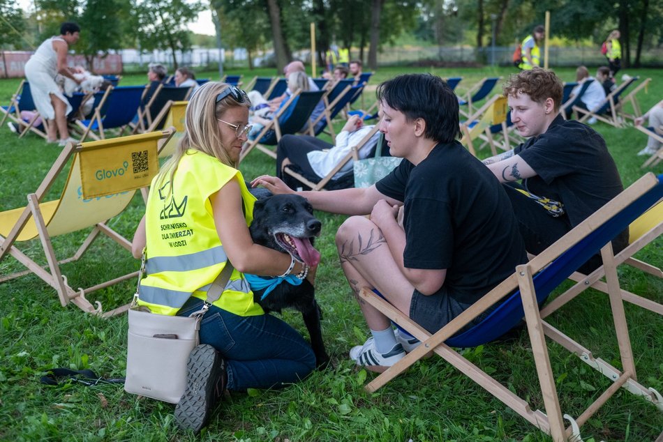 Łódź. Ostatni Psia Polówka w Łodzi za nami. Nic słodszego dziś nie zobaczysz!