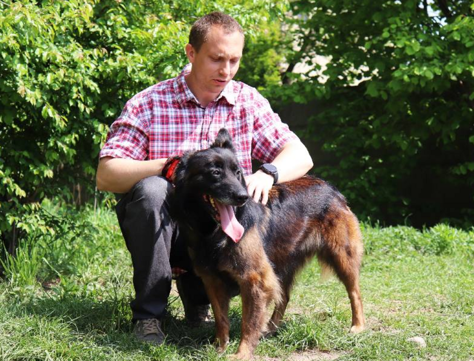 Łódź. Remi ze schroniska w Łodzi przez miesiąc była sama w opuszczonym mieszkaniu. Przygarniesz ją?