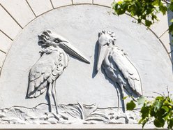 Łódź. Spacer śladami zwierząt na zabytkach w Łodzi. Dowiedz się więcej o ich historii