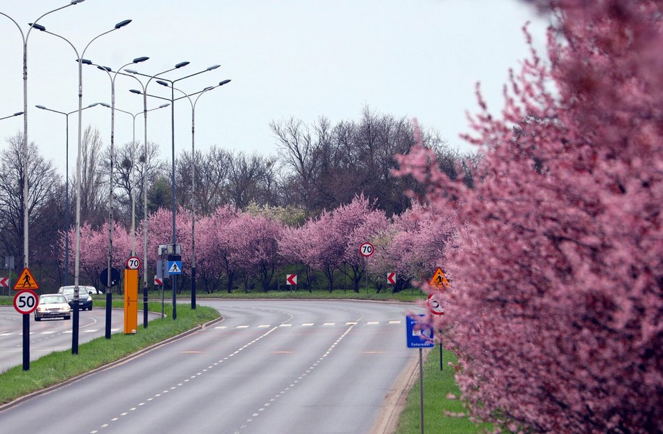 Wiosna rozgościła się w Łodzi!