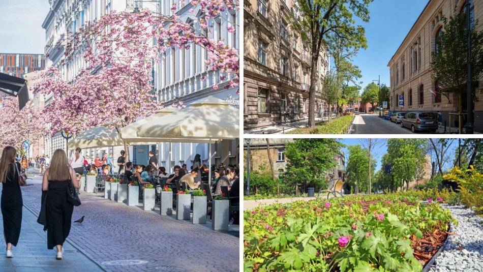 Łódź. TOP 10 woonerfów w Łodzi! To prawdziwe oazy zieleni w centrum miasta