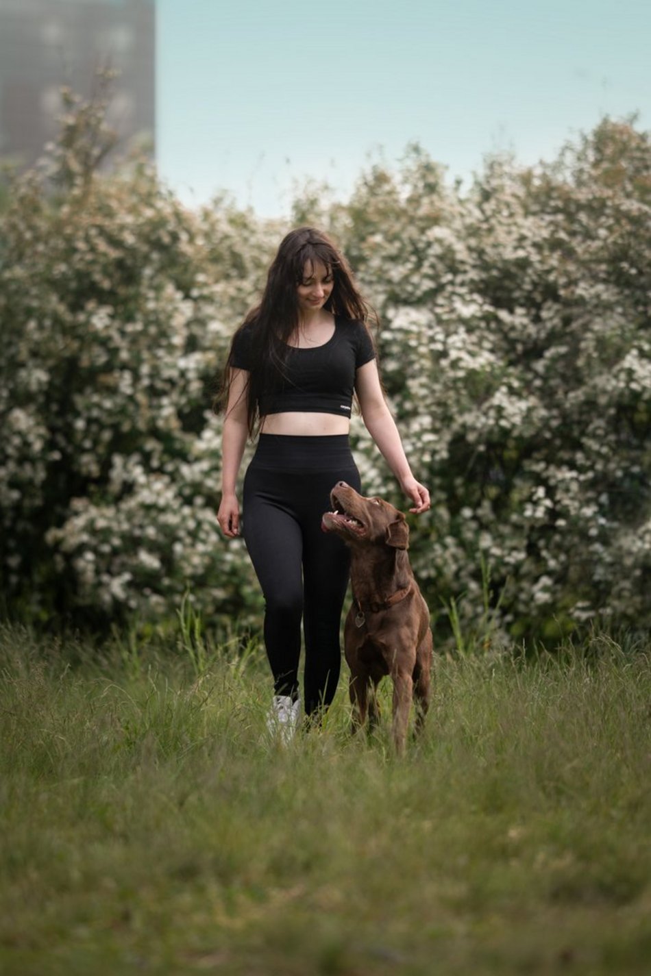 Piesografia zdjęcia zwierzaków