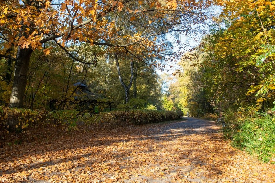 Ogród Botaniczny w Łodzi zamyka się na zimę