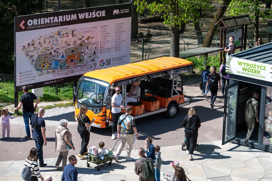 Tłumy w Orientarium Zoo Łódź! Nowości przyciągają jak magnes!