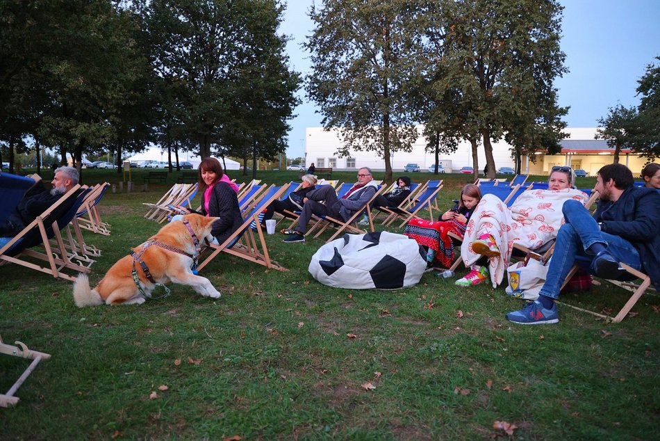 Psia Polówka w Porcie Łódź