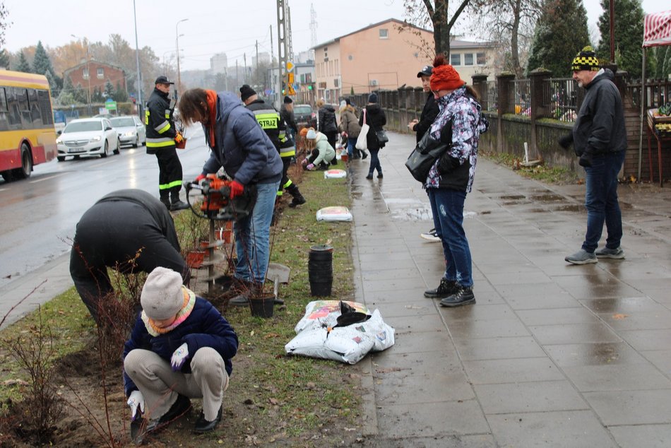 Sadzenie krzewów wzdłuż ulicy Retkińskiej