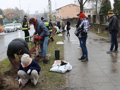 Sadzenie krzewów wzdłuż ulicy Retkińskiej