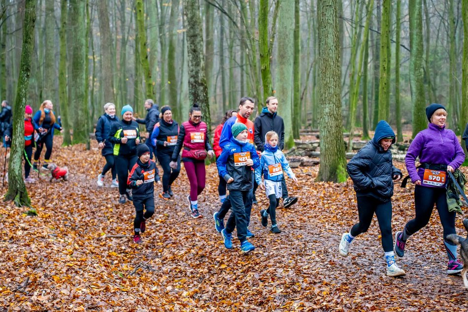 Cookie Run w Lesie Łagiewnickim w Łodzi