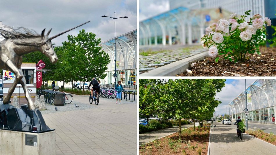 Łódź. Stajnia Jednorożców w Łodzi cała na zielono! Zamiast betonu ponad 500 mkw roślin