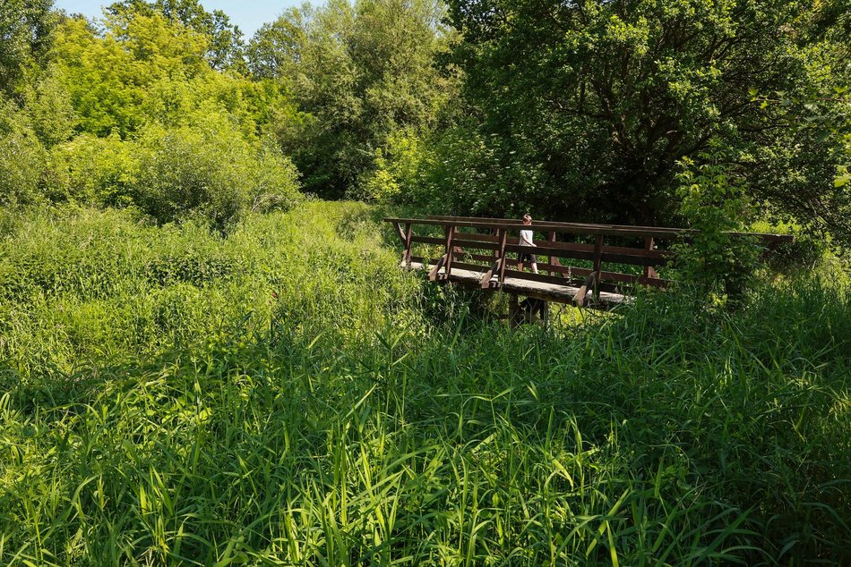 Nazwij park nad rzeką Ner w Łodzi
