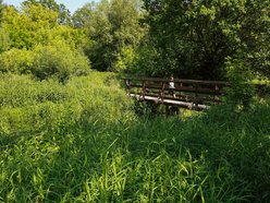 Nazwij park nad rzeką Ner w Łodzi