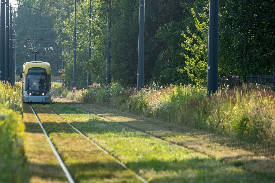 Wielkie zmiany w MPK Łódź. 11 inwestycji, nowości i ułatwień