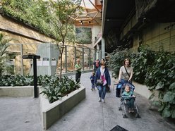 Orientarium Zoo Łódź z okazji Dnia Kobiet. Specjalny szlak edukacyjny potrwa aż do niedzieli