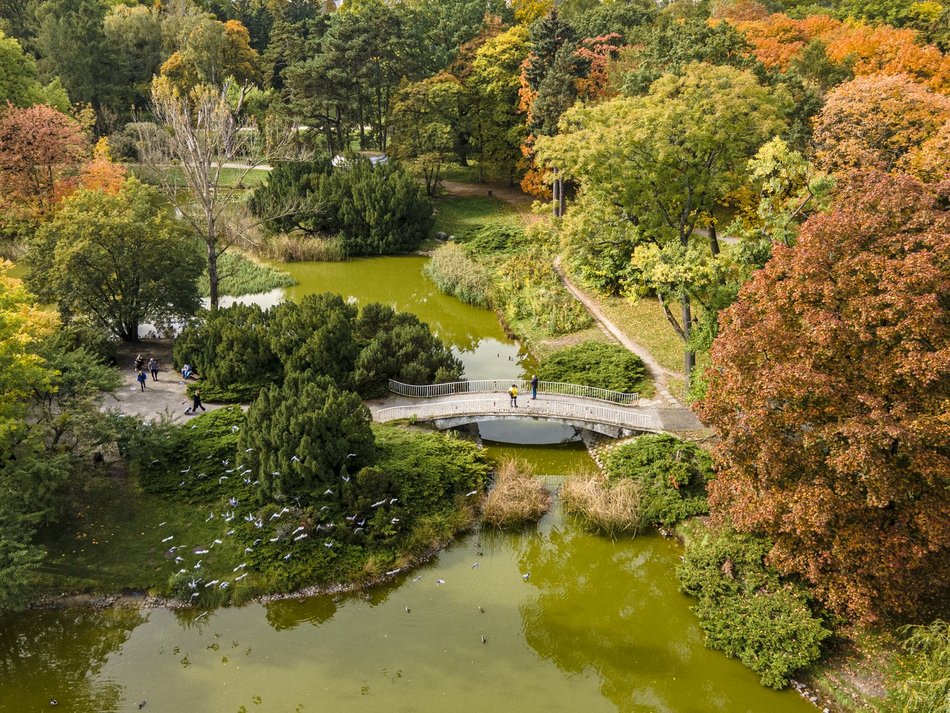 Park Poniatowskiego w jesiennych barwach. Baśniowy krajobraz w centrum miasta
