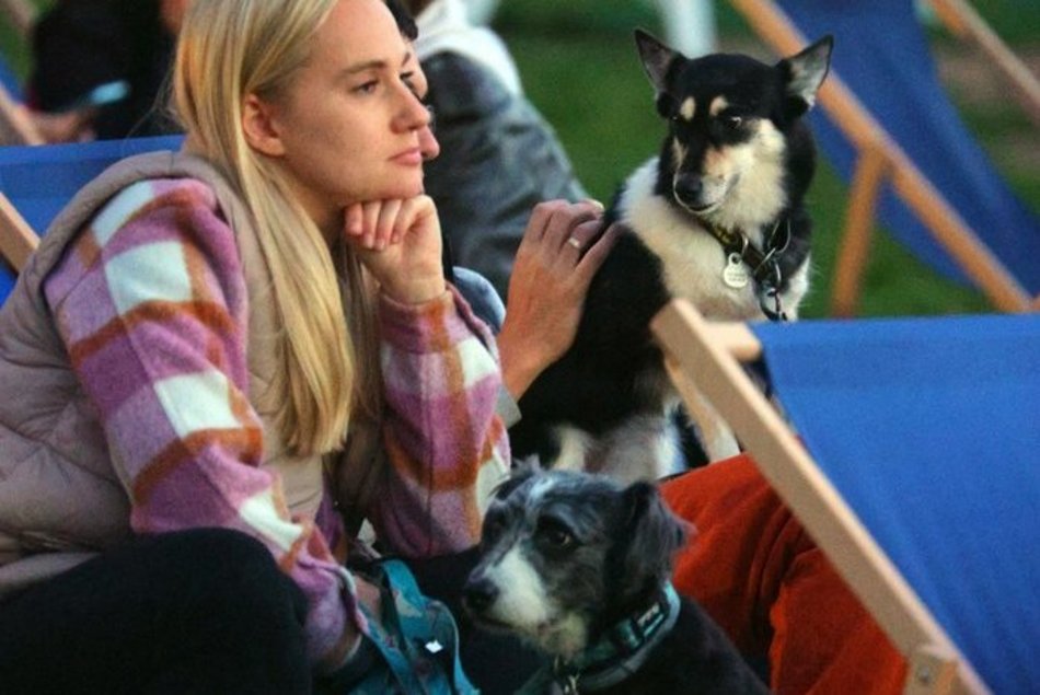 Psia Polówka w Porcie Łódź