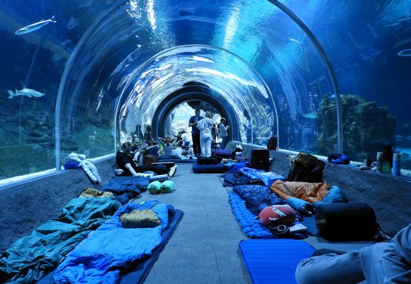 A może jesienne nocowanie w tunelu oceanicznym? Orientarium Zoo Łódź zaprasza!