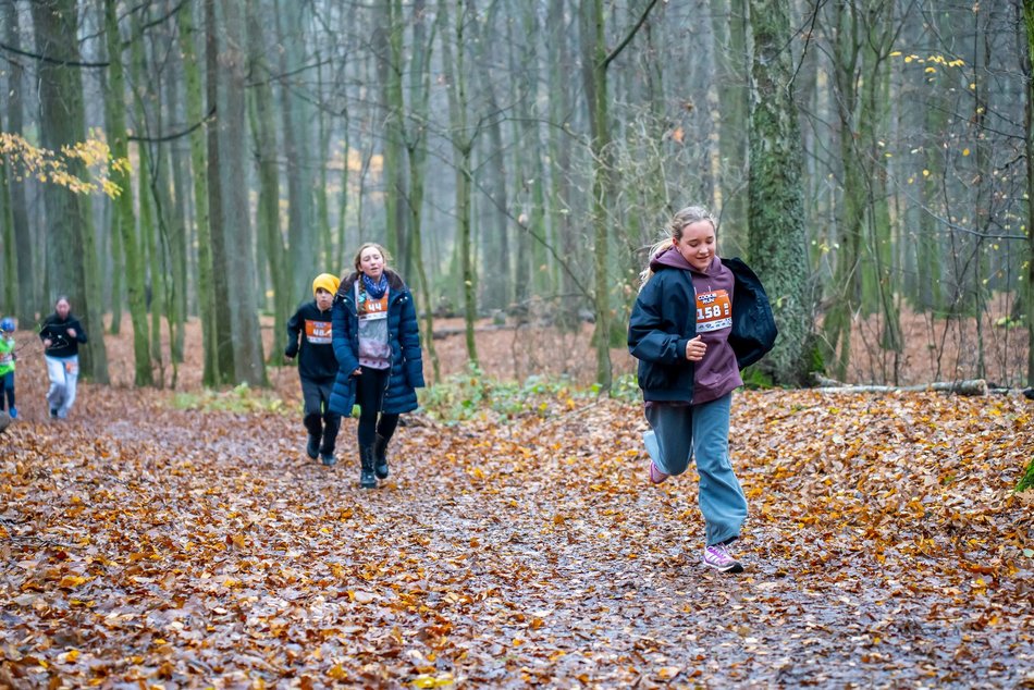 Cookie Run w Lesie Łagiewnickim w Łodzi