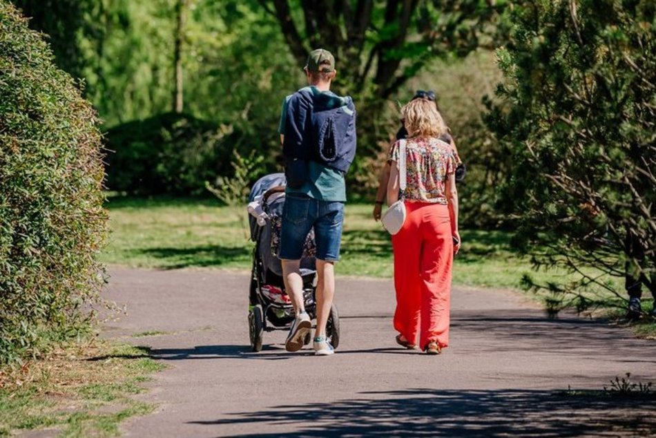 Łódź. Ogród Botaniczny w Łodzi w wiosennej odsłonie