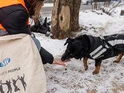 Łódź. Psy ze schroniska w Łodzi znów na spacerze! Dla tych wesołych pyszczków aż chce się chodzić!