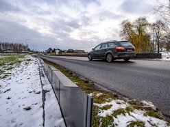 Kumamy żaby! Andrzejów w Łodzi wie, jak ochronić je przed pędzącymi samochodami