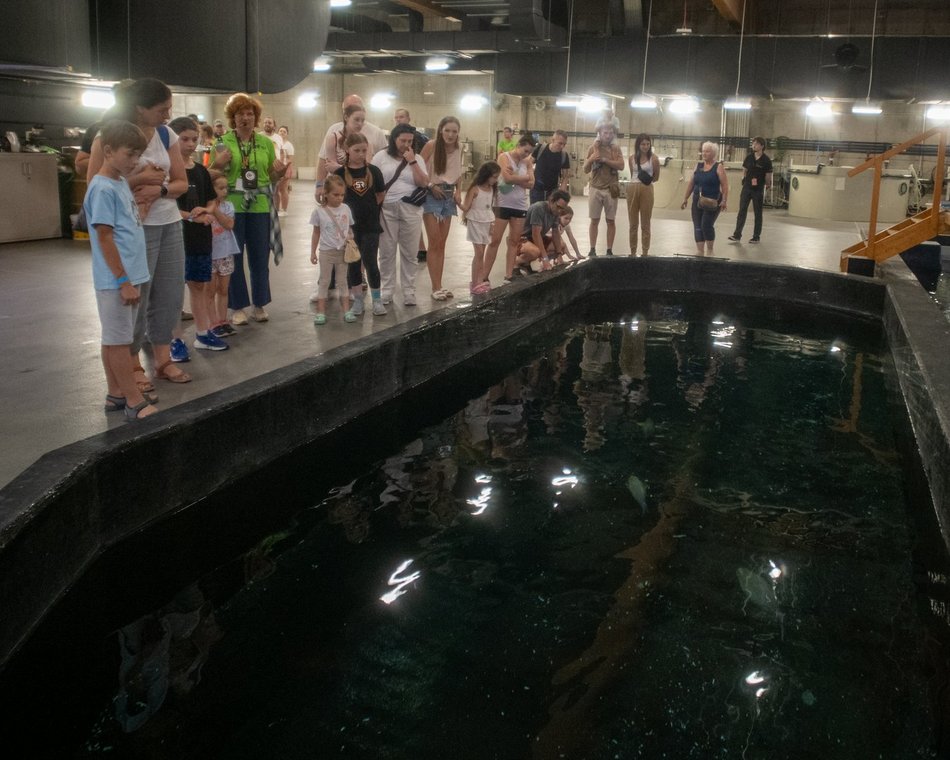 601. Urodziny Łodzi w Orientarium Zoo Łódź