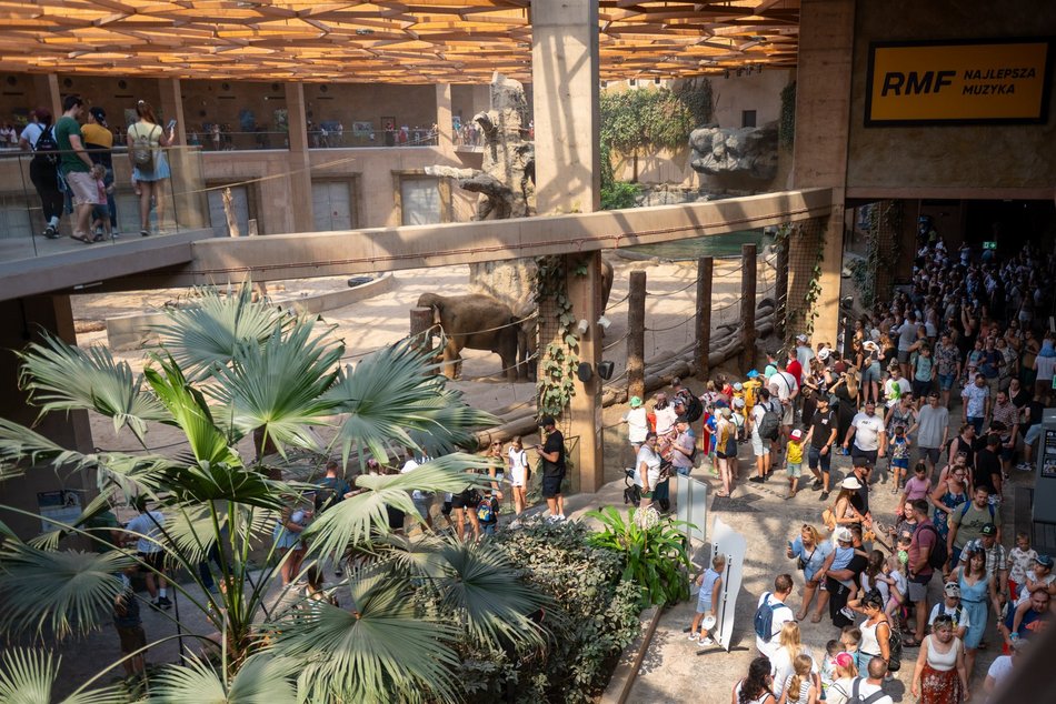 Łódź. Zielona Feta w Orientarium Zoo Łódź. Moc atrakcji na długi weekend