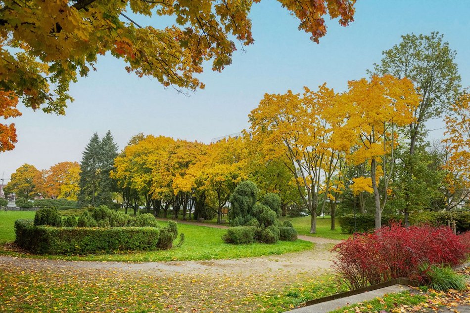 Łódź. Jesienne kadry z parków