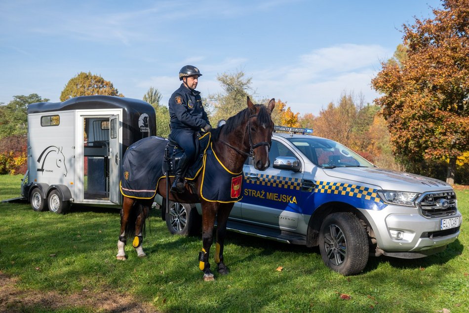 Straż Miejska w Łodzi ma nowego konia