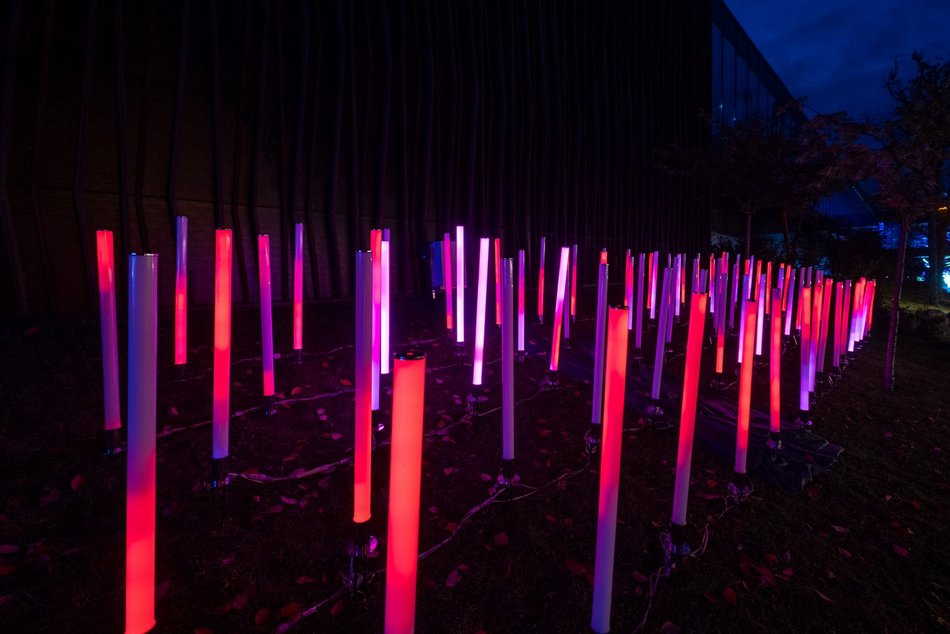 Park Miliona Świateł w Łodzi otwarty! Magiczne zwierzęta opanowały Orientarium Zoo Łódź