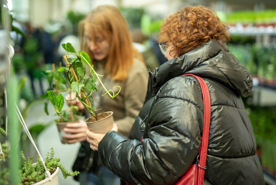 Kwiatowa Gala w Łodzi! Kochasz rośliny? Nie może Cię tam zabraknąć!