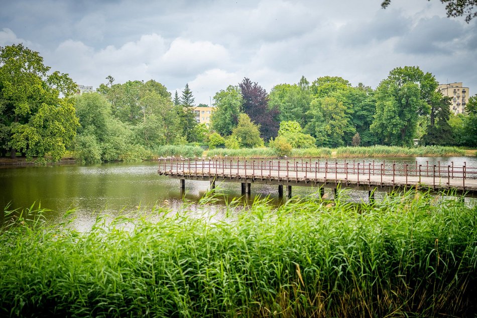 Łódź. Rewolucja przy Przędzalnianej w Łodzi. Zielona plaża, plac zabaw i pętla biegowa nad Jasieniem