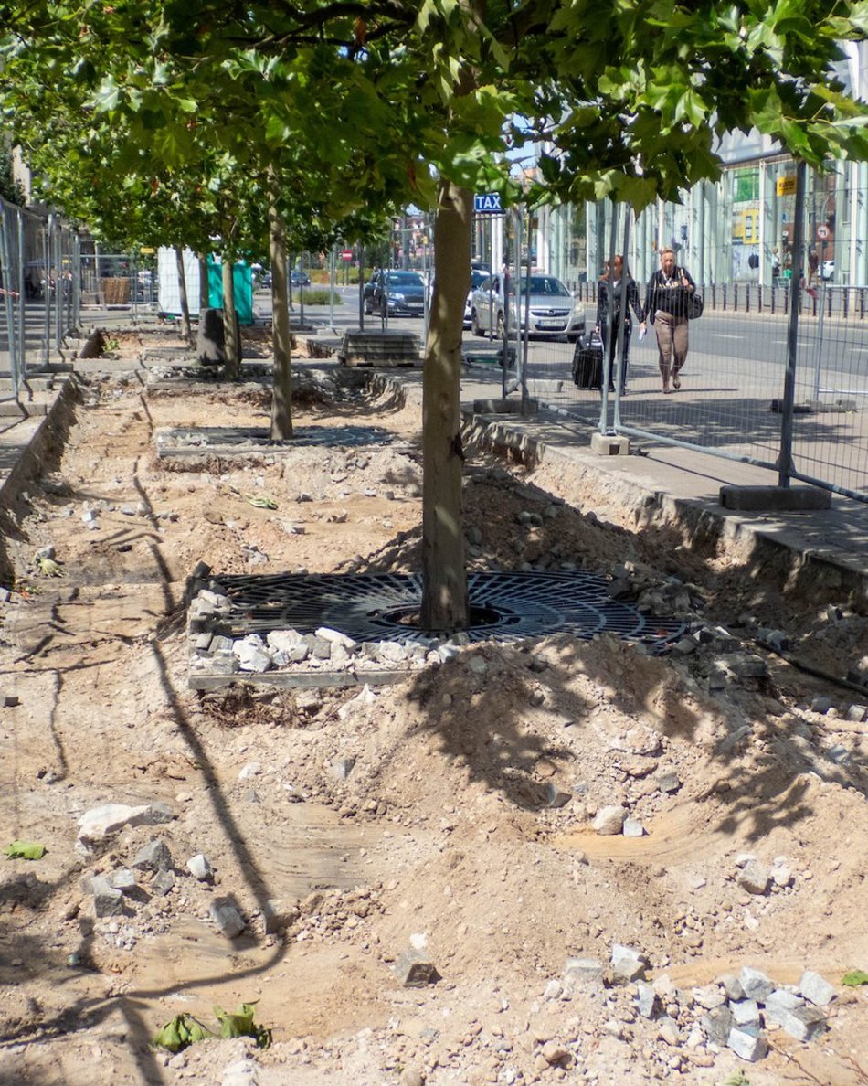 Łódź. Stajnia Jednorożców w Łodzi cała w zieleni! Zamiast betonu będą drzewa i barwne rabaty!