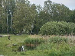 To przesądzone! Będzie nowy park leśny na Lublinku. Więcej zieleni i tereny rekreacyjne