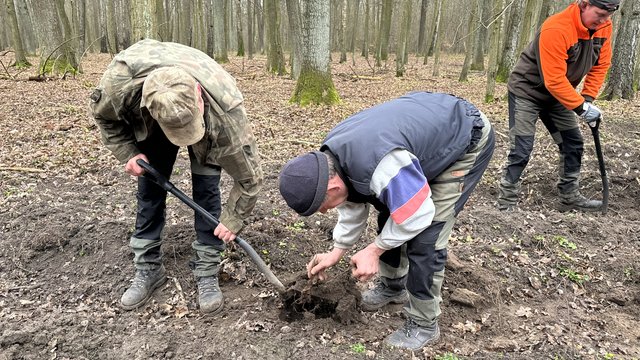 3 tys. nowych drzew w Lesie Łagiewnickim. Dlaczego je zasadzono? [ZDJĘCIA]