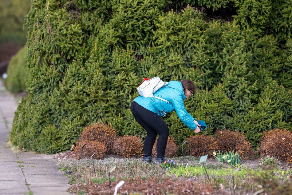 Wiosenny Ogród Botaniczny w Łodzi. Spacer wśród budzącej się do życia przyrody