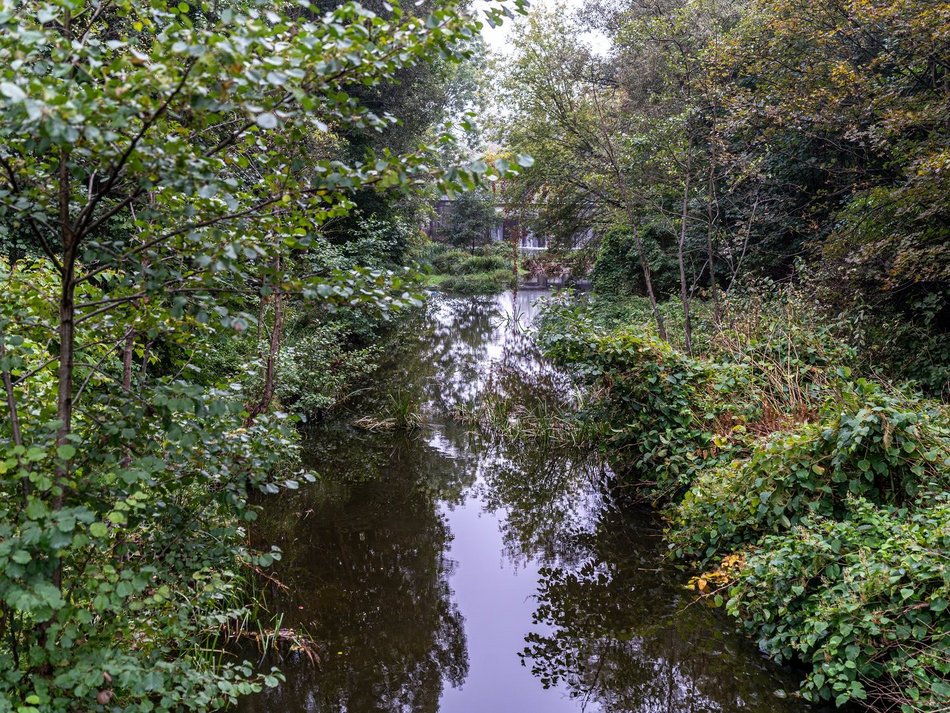 Łódź. Rzeka Olechówka