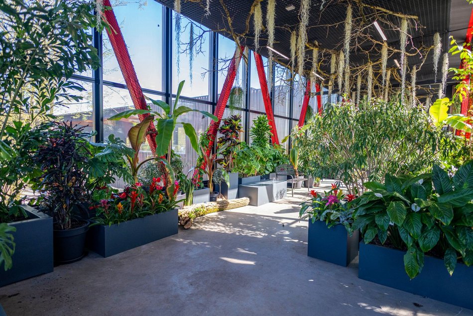 Łódź. Nowa motylarnia w Orientarium Zoo Łódź już otwarta! Największe takie miejsce w Polsce