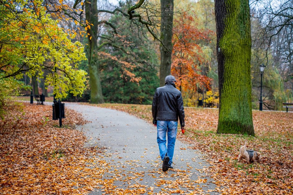 Łódź. Jesień w parku Źródliska