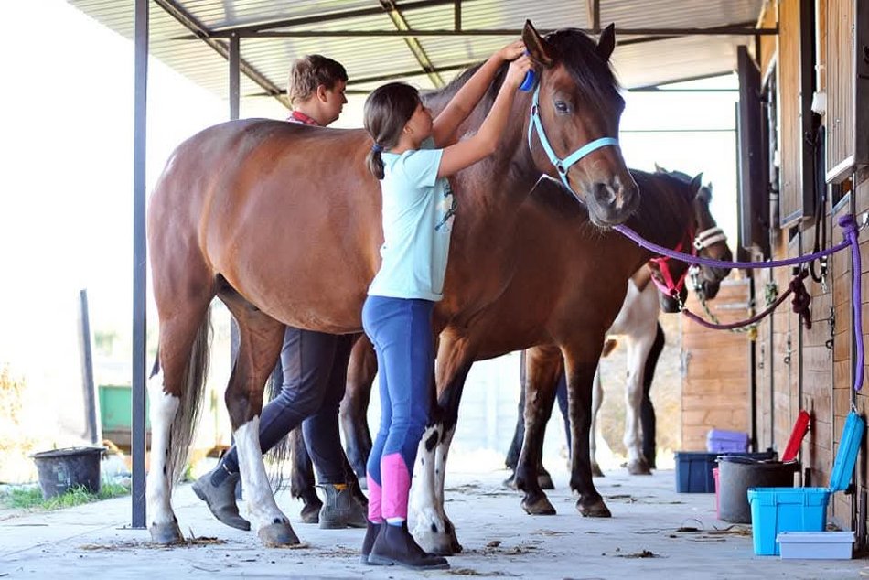 Łódź. Ranczo Reszka