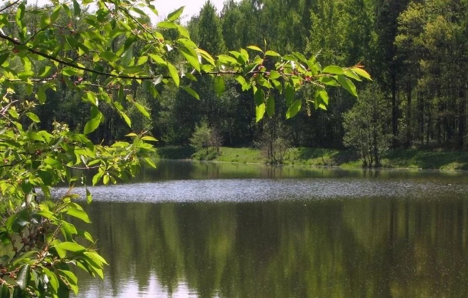 Łódź. Zielono mi… Lasy w Łodzi polecają się na wiosenny odpoczynek