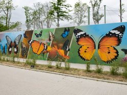 Motylarnia w Orientarium Zoo Łódź - motyle i odwiedzający w motylarni