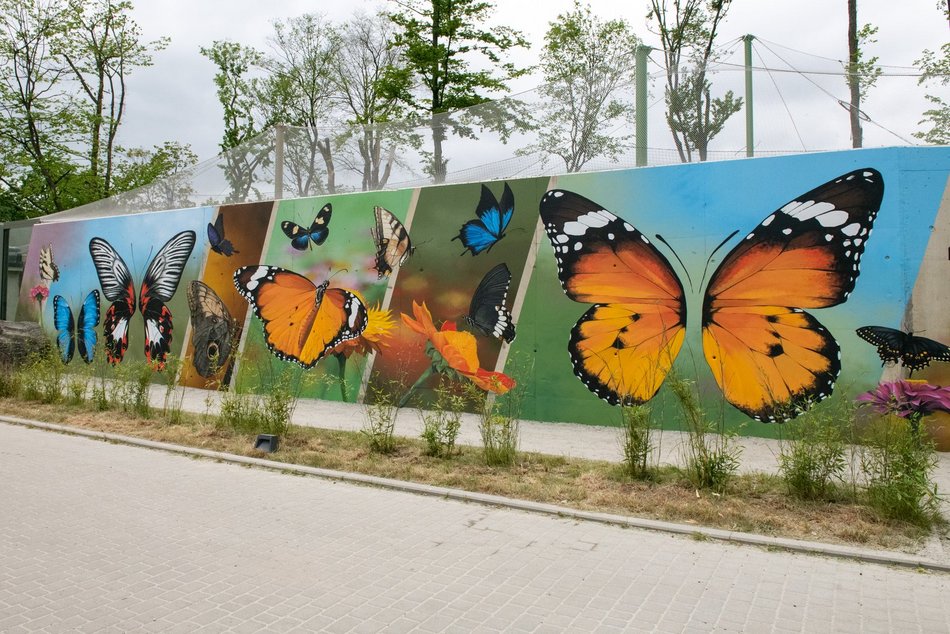 Motylarnia w Orientarium Zoo Łódź - motyle i odwiedzający w motylarni