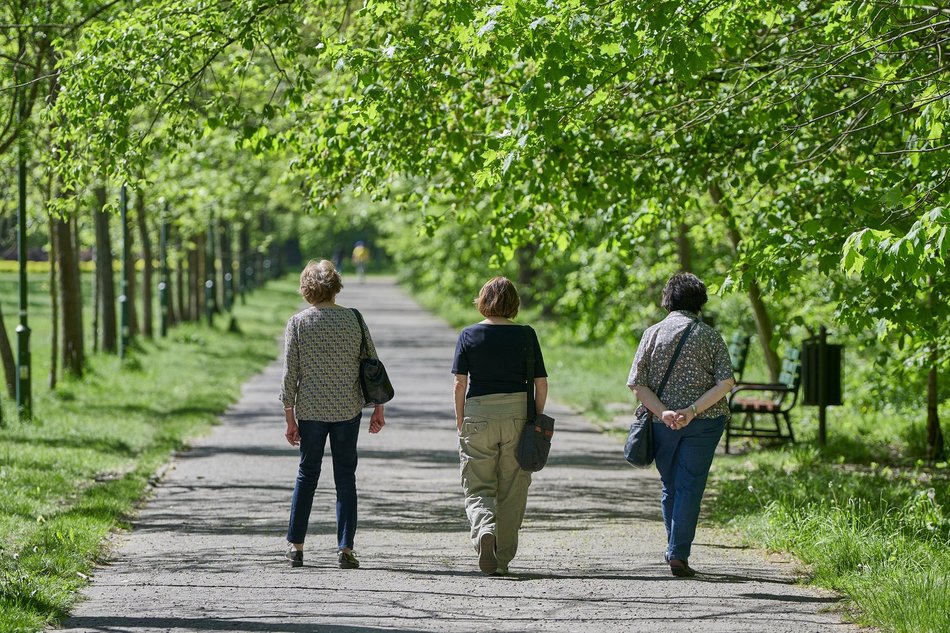 Rób kroki i zazieleniaj Łódź. Weź udział w wyzwaniu i daj szansę miastu na zdobycie 50 tys. zł!