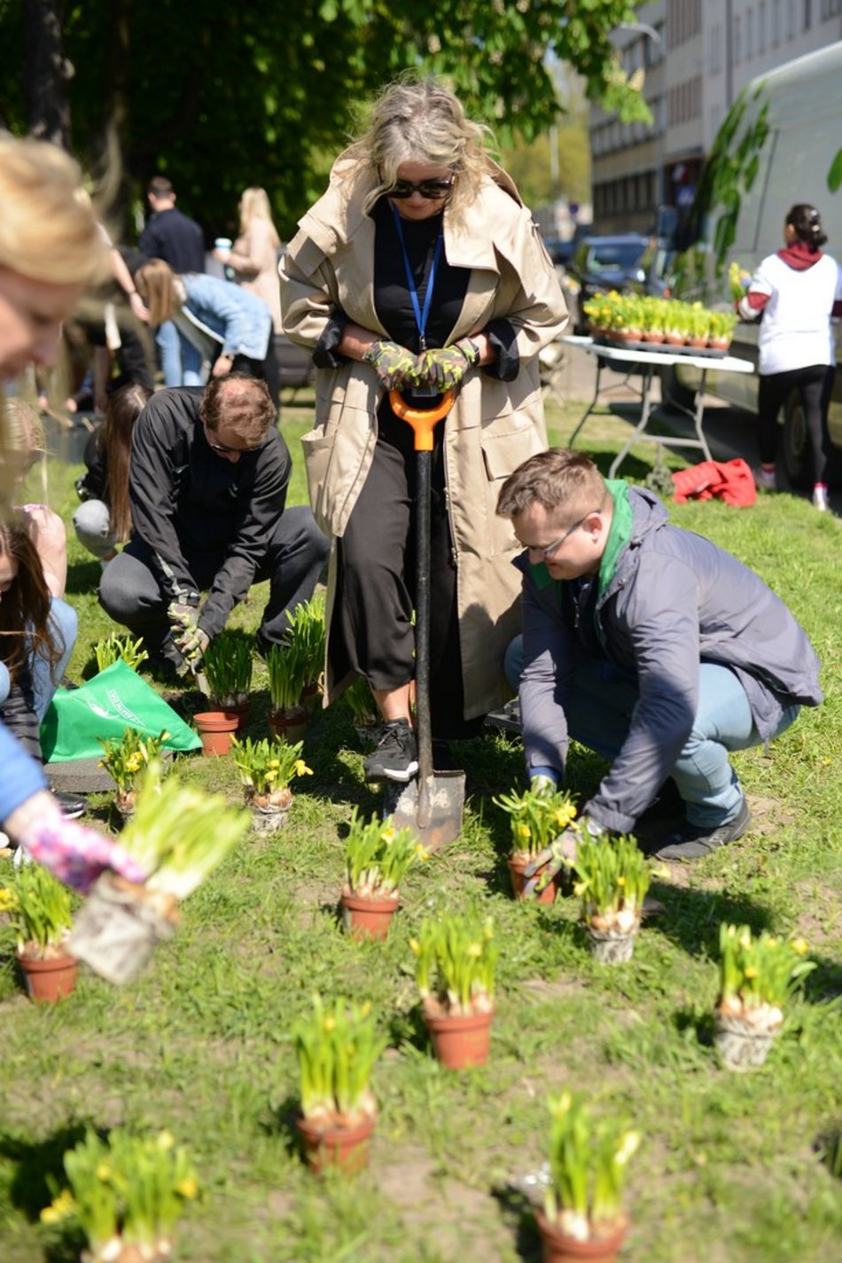 sadzenie zieleni na skwerze