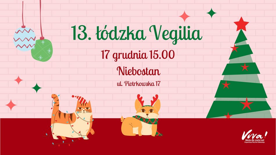 Wegańska Wigilia w Niebostanie