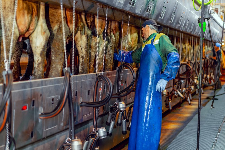 Przetwórstwo przemysłowe