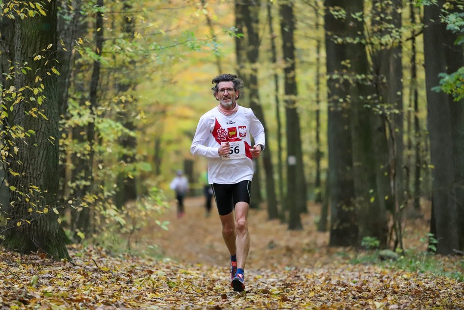 Dokąd uciec przed Świętami z Łodzi